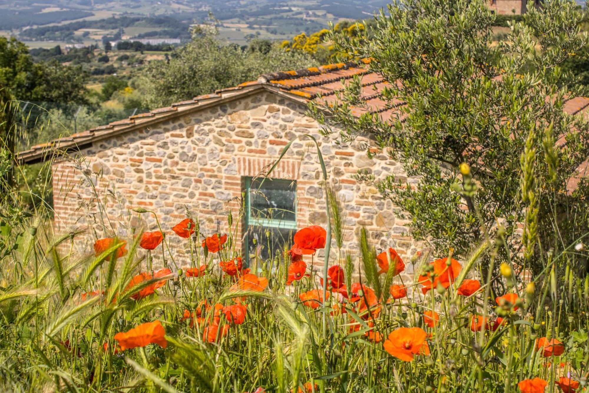 Agriturismo Dandelion Città della Pieve Exteriör bild